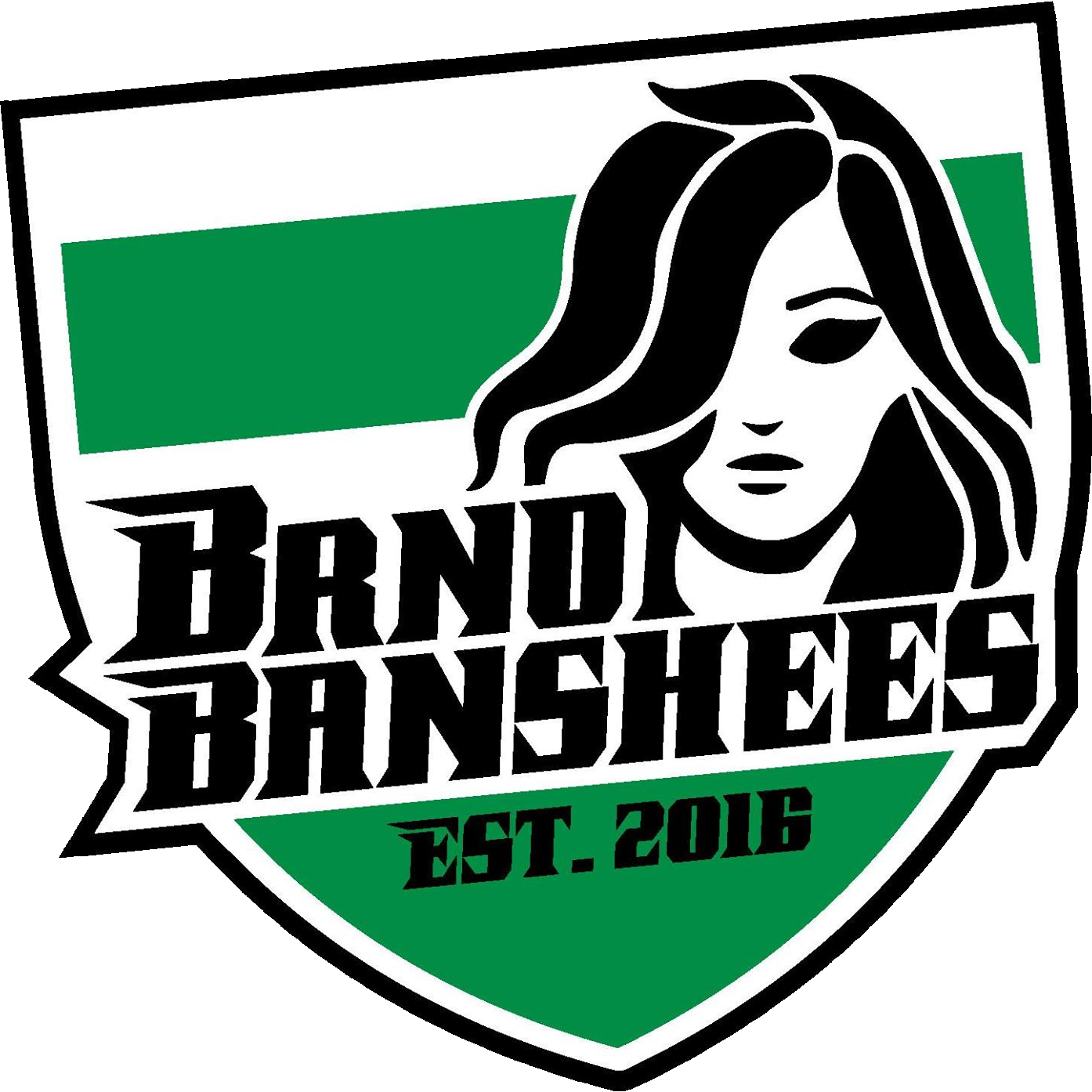 Logo Brno Banshees